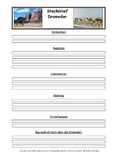 Dromedar-Steckbriefvorlage.pdf